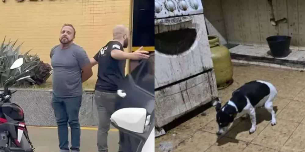 Policiais também encontraram animais em condições de insalubridade