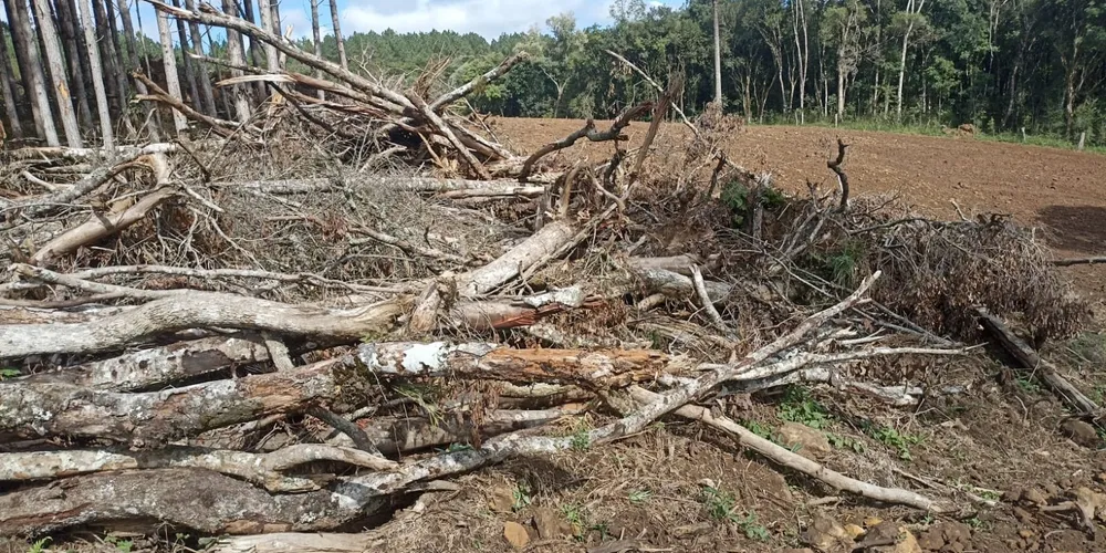 As ações ocorreram em três cidades diferentes