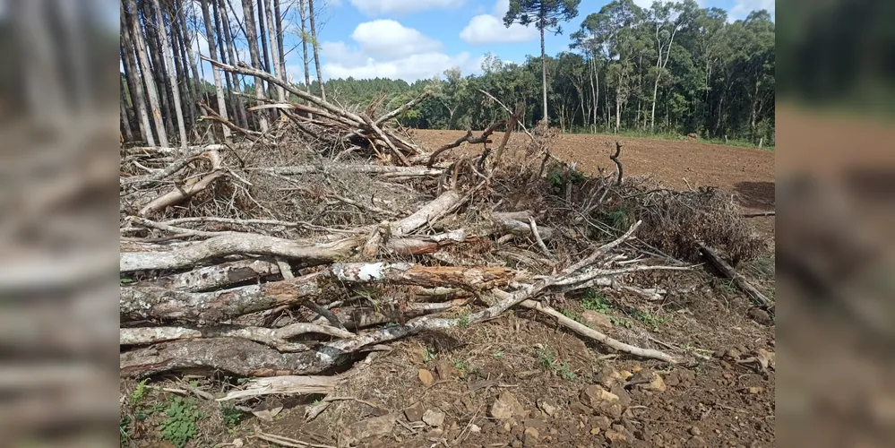 As ações ocorreram em três cidades diferentes