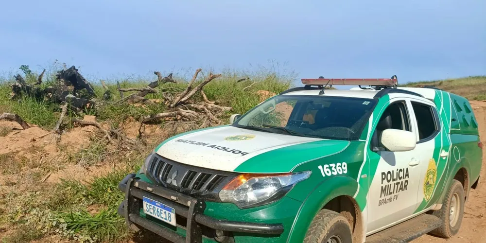 Área devastada foi embargada pelas autoridades