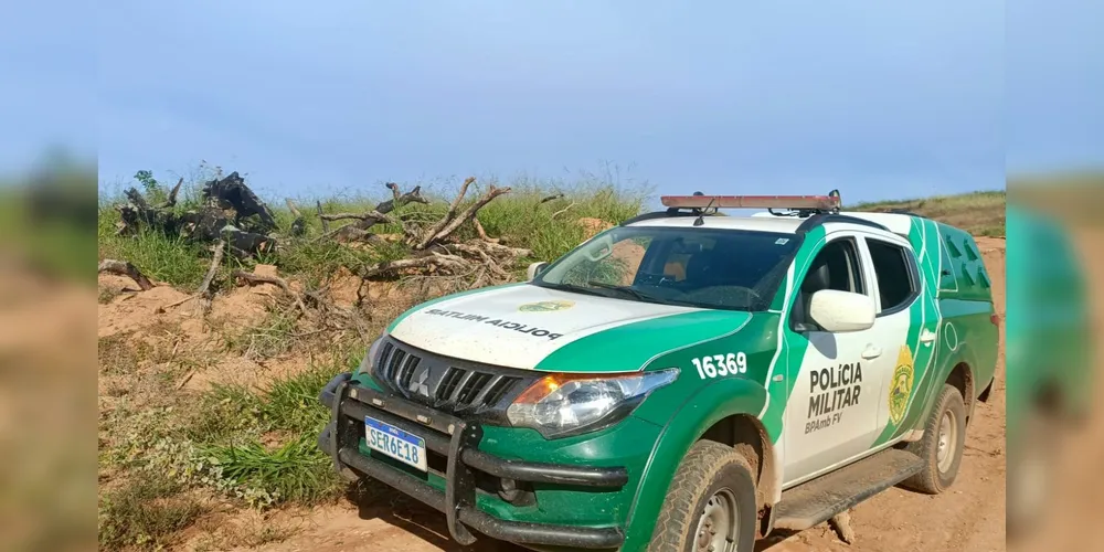 Área devastada foi embargada pelas autoridades