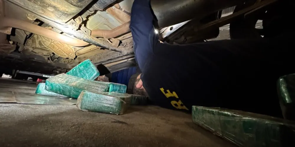 A apreensão ocorreu em Presidente Castelo Branco