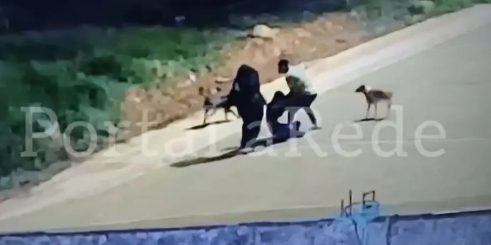 Vítima foi morta com diversos golpes de faca