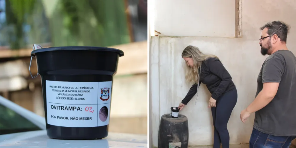 As ovitrampas são armadilhas simples, mas altamente eficazes