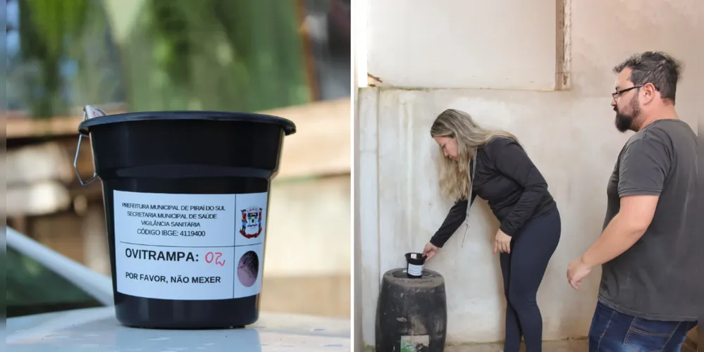 As ovitrampas são armadilhas simples, mas altamente eficazes