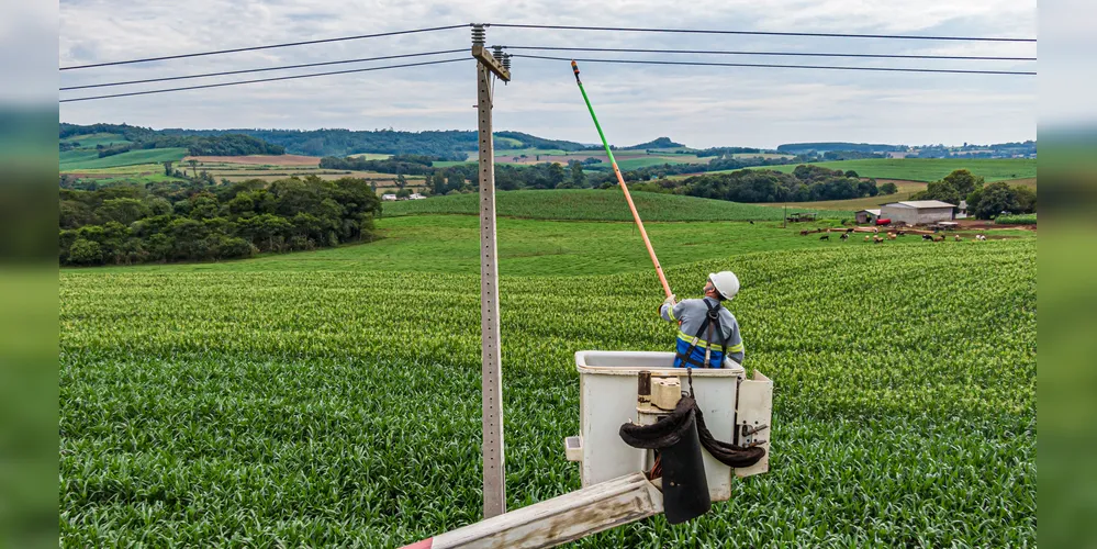 A companhia já concluiu 88% do total do programa, que avança com a construção de 12 Km de novas redes a cada dia, em média