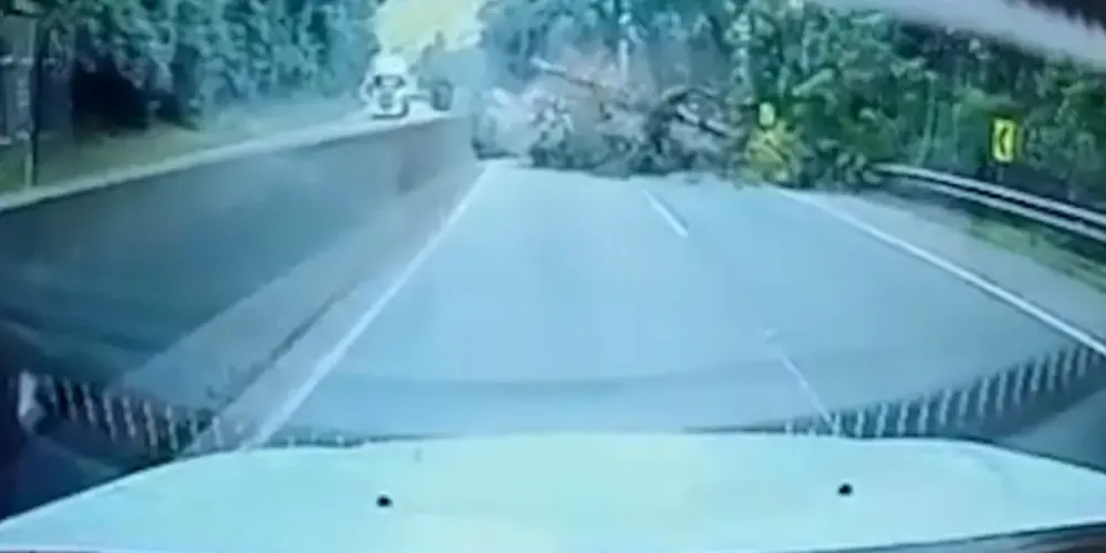 Marcos Evangelista de Abreu morreu na hora ao ter o carro atingido pela árvore na BR-277, em Morretes