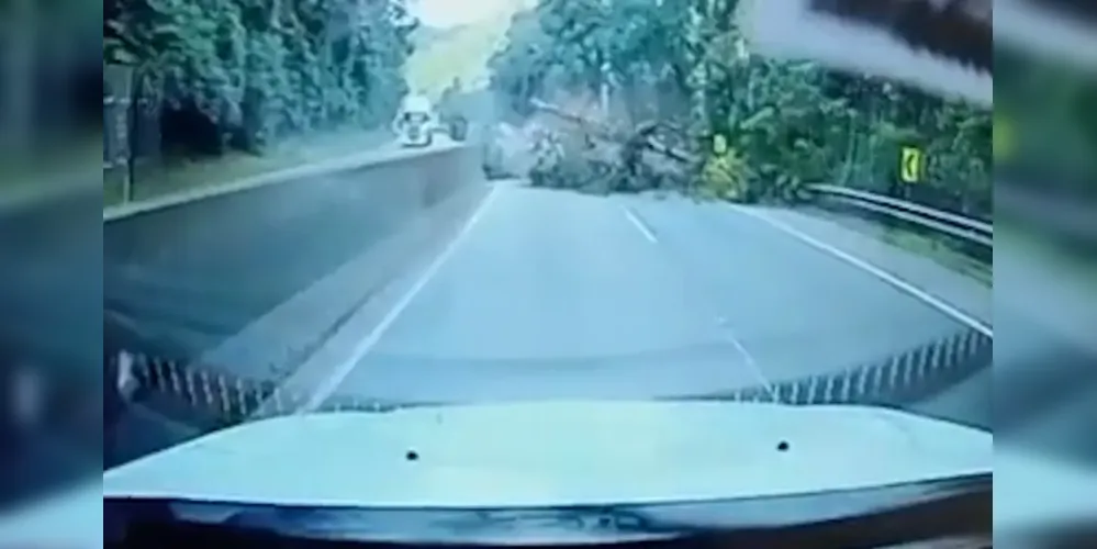 Marcos Evangelista de Abreu morreu na hora ao ter o carro atingido pela árvore na BR-277, em Morretes