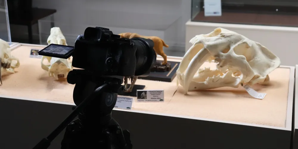 A exibição ocorre no dia 15 de maio