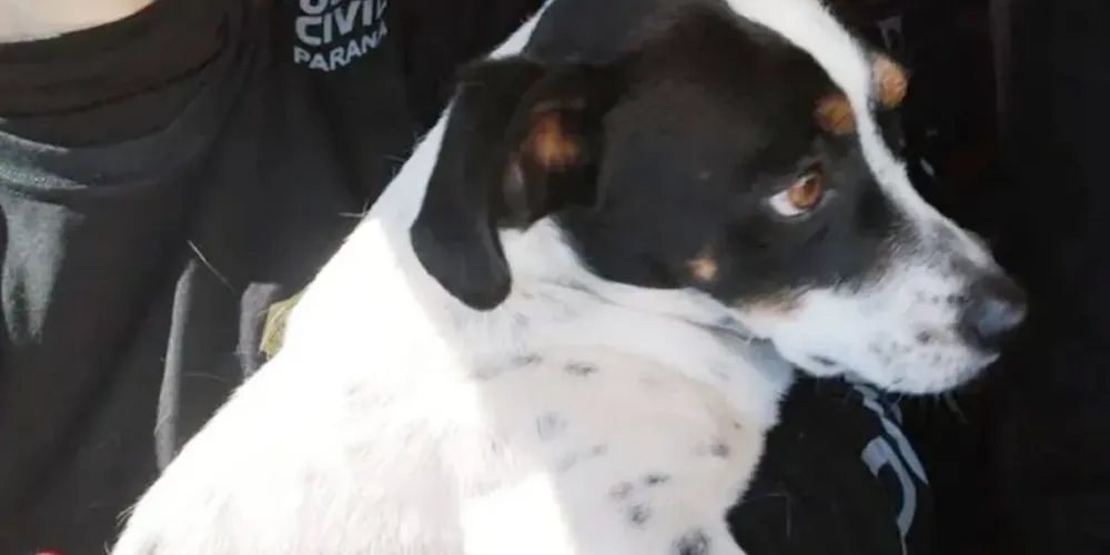 Tokinho ganhou ação na justiça contra o ex-tutor