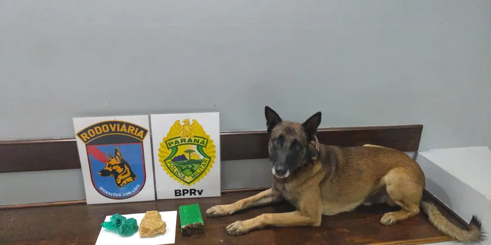 Mulher foi presa por uma equipe de Operações com Cães