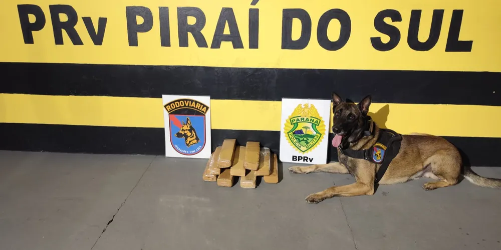 O cão indicou positivamente sobre algo ilícito, em uma mochila que estava próxima dos pés de um homem