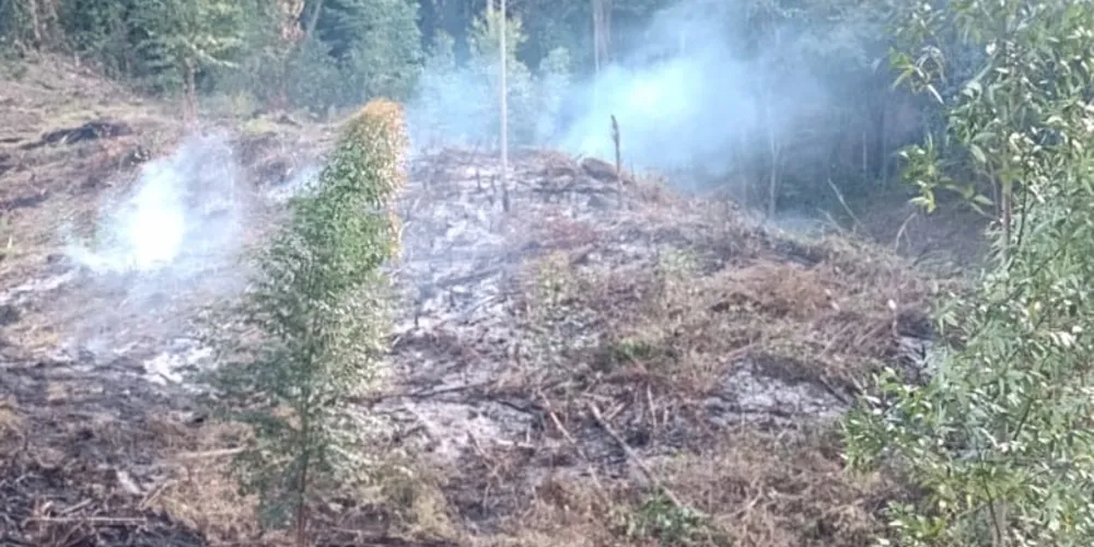 Além de cortar, o homem ateou fogo na área, causando danos ambientais