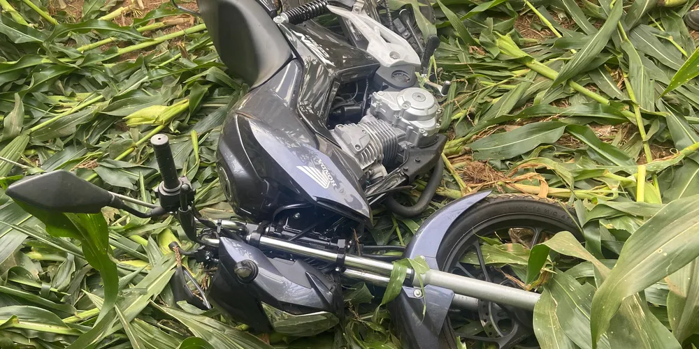 Motocicleta está presente em uma plantação às margens da rodovia