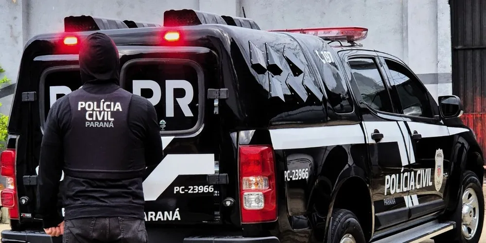 O investigado foi encaminhado ao Departamento Penitenciário da cidade, onde permanece à disposição da Justiça