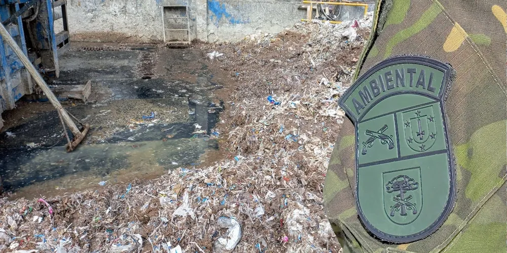 A ação foi realizada por policiais militares ambientais