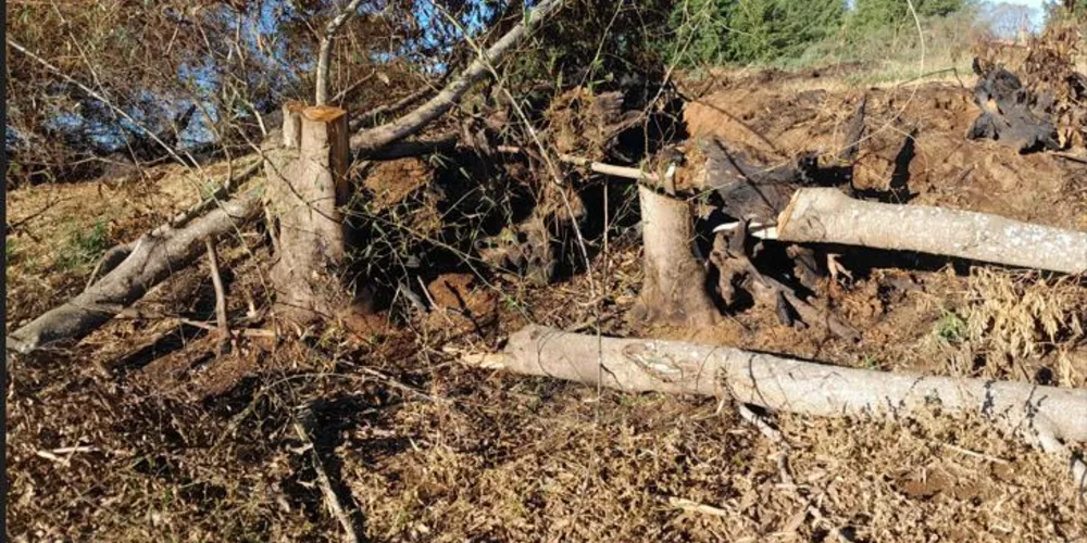 A responsável foi autuada em R$ 57.300,00