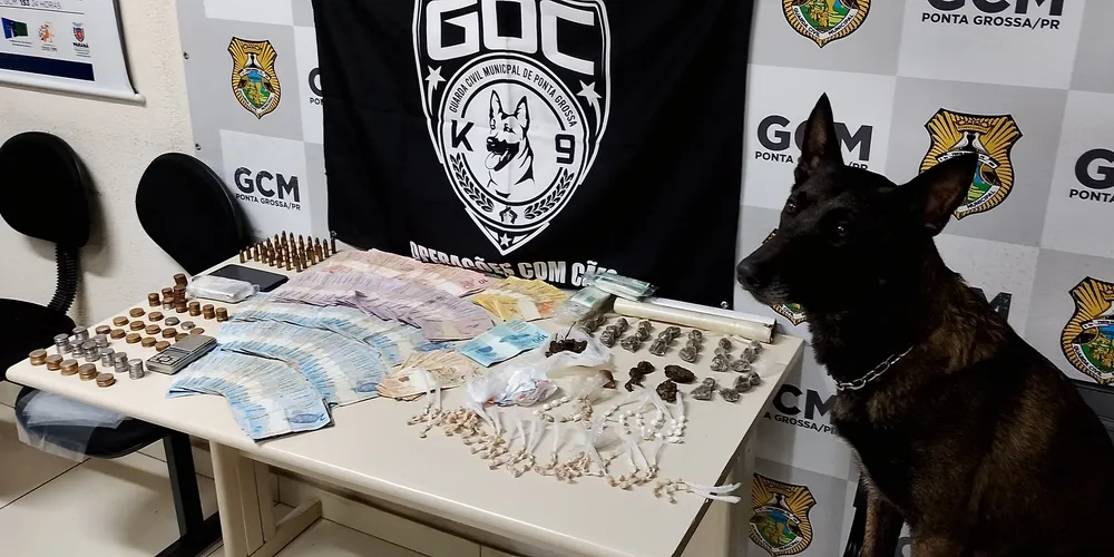 Bolt encontrou centenas de pacotes de maconha