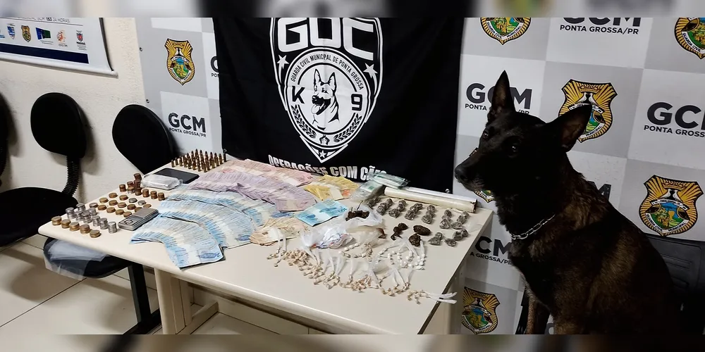 Bolt encontrou centenas de pacotes de maconha