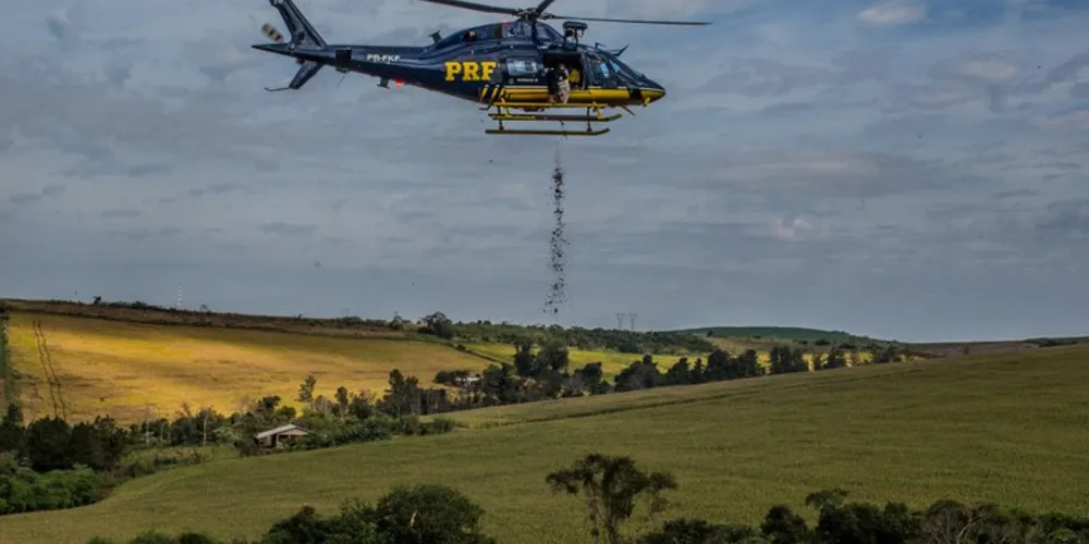 Ao todo, 10 toneladas de sementes foram espalhadas