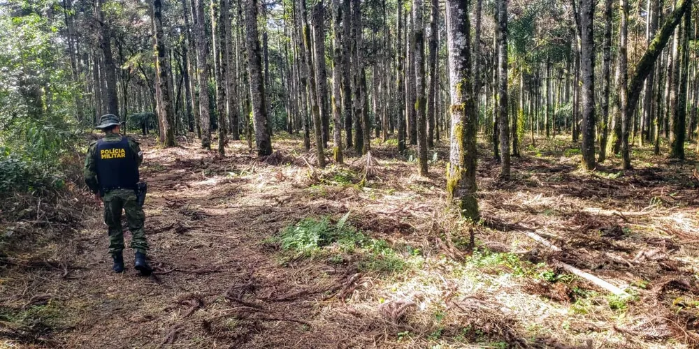 O local fica em uma propriedade rural no Povoado Imbituvinha