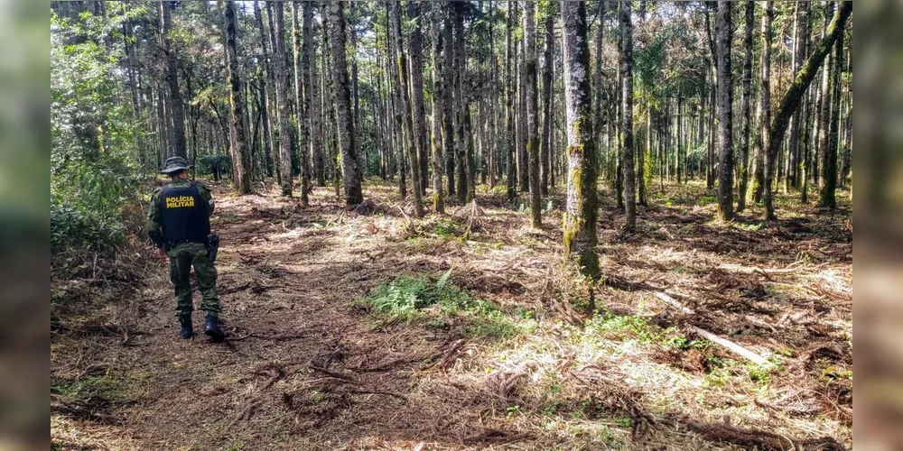 O local fica em uma propriedade rural no Povoado Imbituvinha