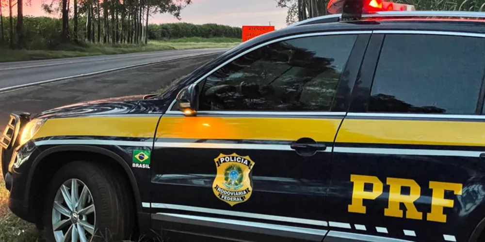 A apreensão ocorreu na manhã de segunda-feira (19)