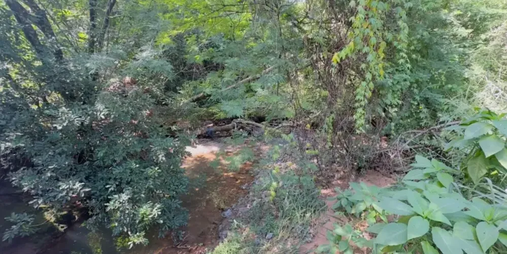 Os militares foram até o local e fizeram o isolamento da área