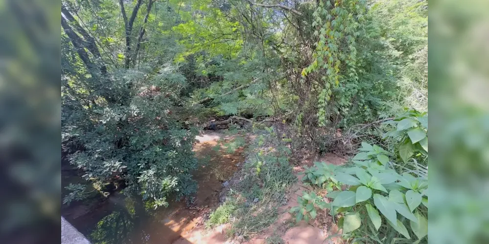Os militares foram até o local e fizeram o isolamento da área