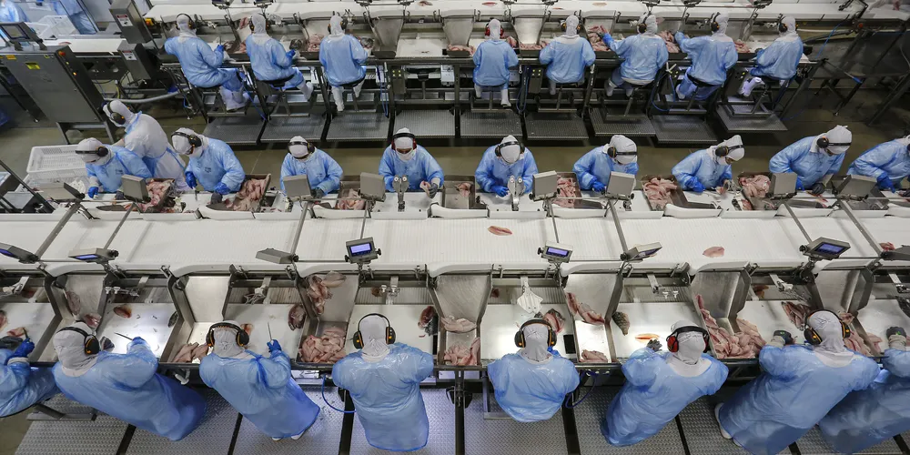 Todos os setores apresentam saldo positivo de vagas no ano no Paraná