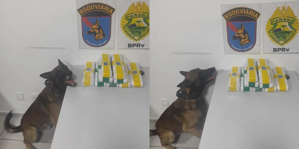 A apreensão ocorreu na noite de quarta (11)