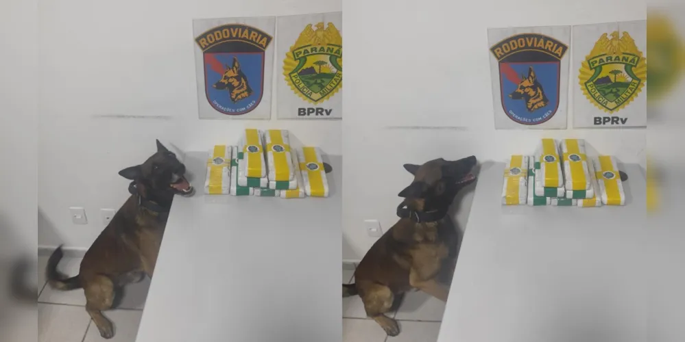 A apreensão ocorreu na noite de quarta (11)