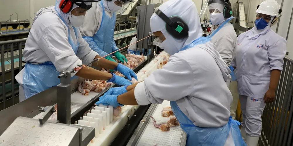 Jaguá Frangos. Jaguapitã 04/2021