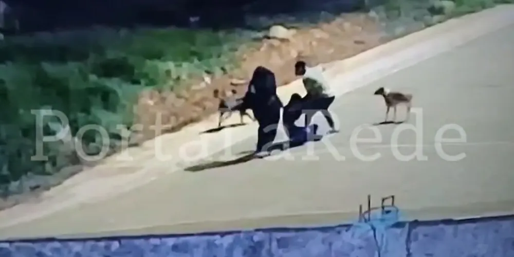 Nas imagens, é possível ver o momento em que a vítima é atacada.