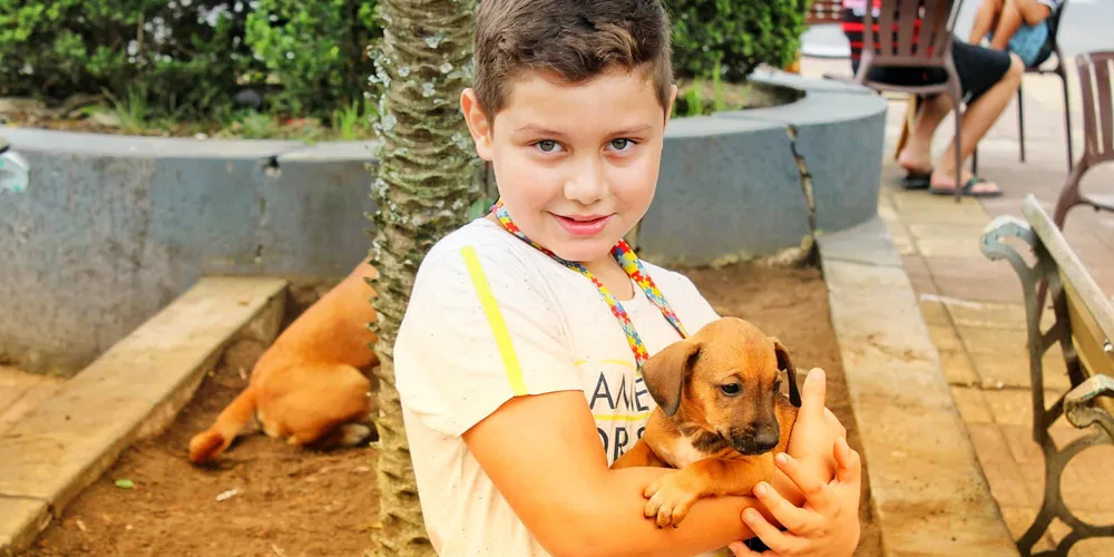 Além da castração, os animais atendidos receberão também a vacina antirrábica