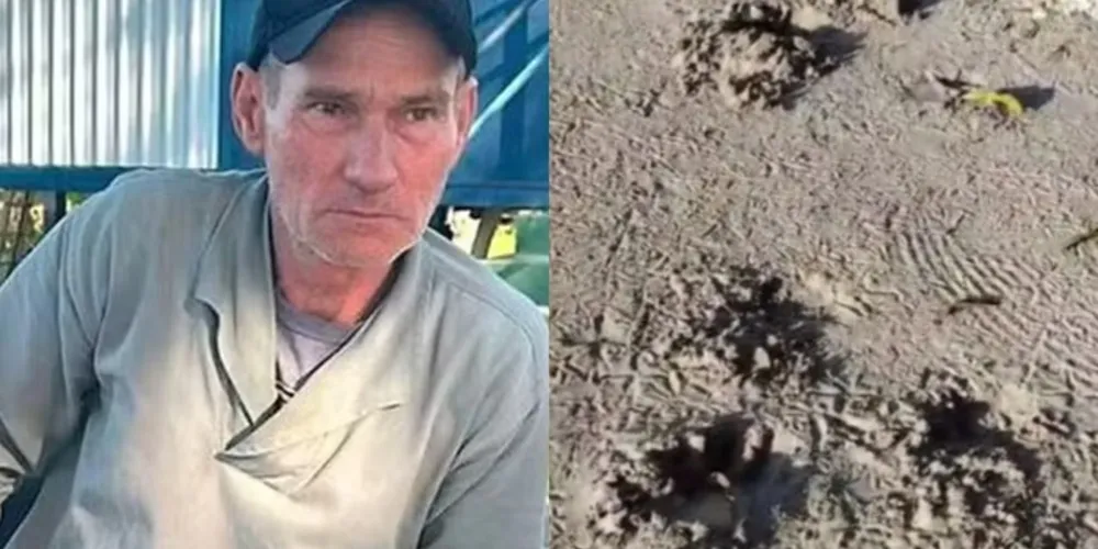 Onça atacou o caseiro Jorginho, matando o senhor de 60 anos