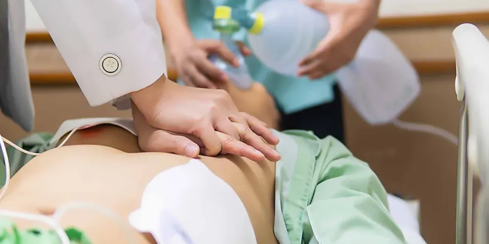 O Curso acontece das 9h às 17h, no sábado (17)