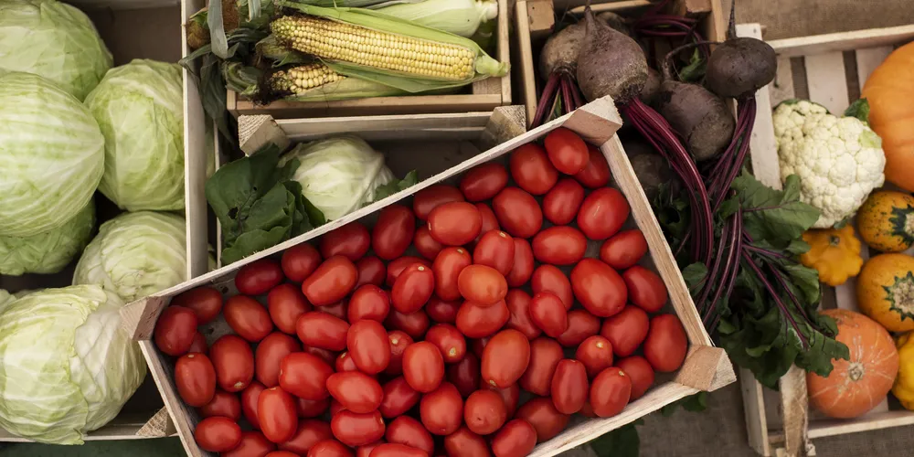 Caixas foram deixadas em uma residência desconhecida