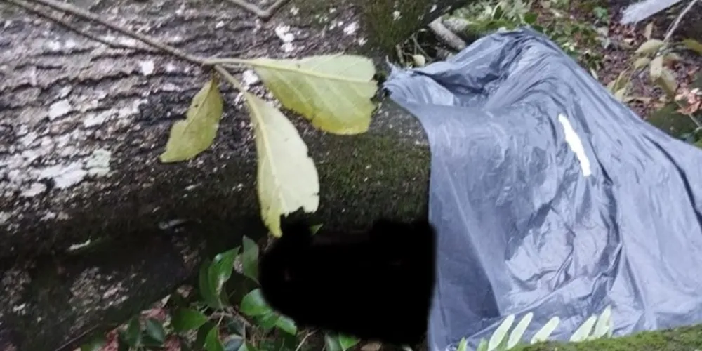 O local foi isolado para o trabalho da Polícia Civil e Polícia Científica.