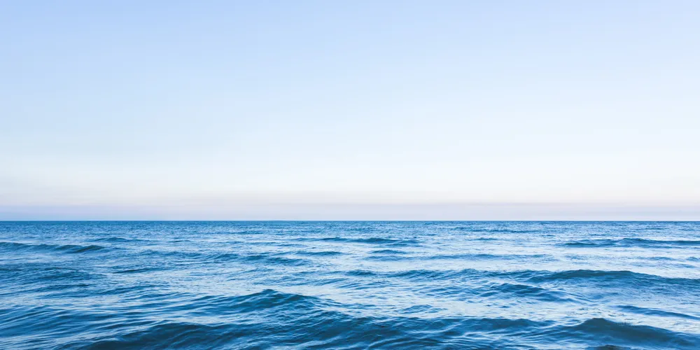 Essas ameaças praticamente não existiam há cerca de 20 anos