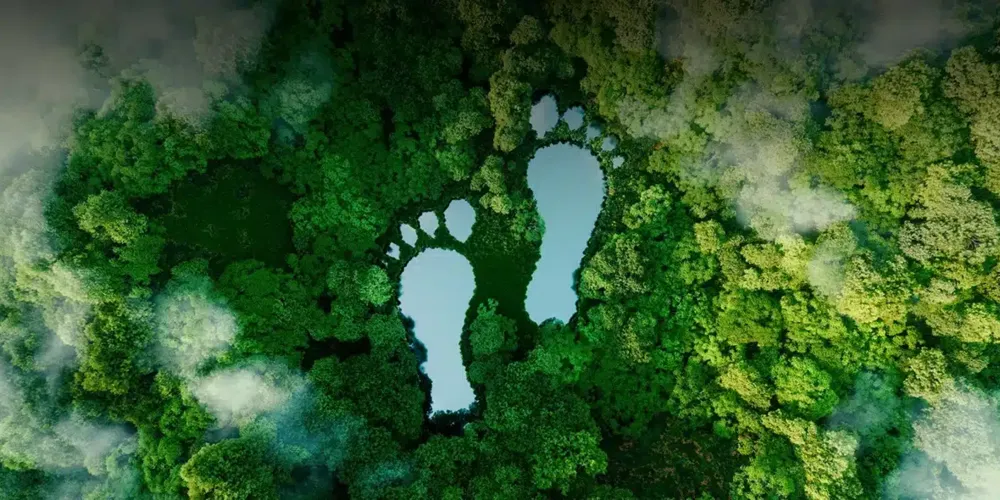 A aula estimula a consciência ambiental entre os alunos e mostra que escolhas sustentáveis, mesmo simples, fazem diferença na preservação dos recursos naturais