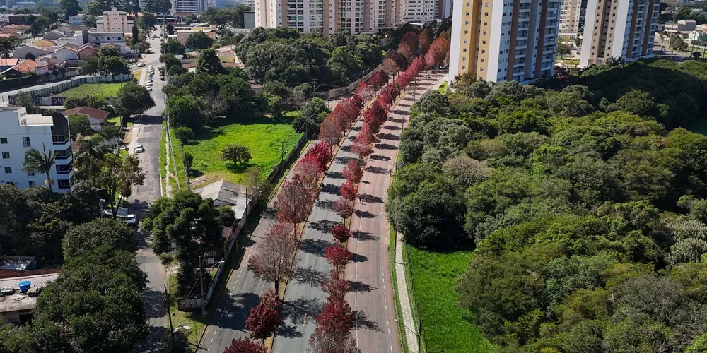 Com relação à temperatura média, maio costuma ter temperaturas entre 12°C e 14°C no extremo Sul e na capital