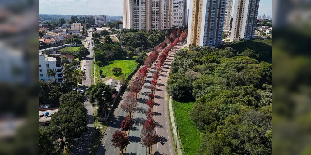 Com relação à temperatura média, maio costuma ter temperaturas entre 12°C e 14°C no extremo Sul e na capital