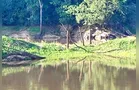 Adolescente desaparece após se afogar em Telêmaco Borba