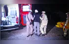 Bombeiros são acionados para atropelamento e localizam caso inusitado