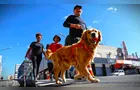 Atividades de corrida e patinação ocorrerão no Centro de PG