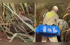 Ladrão é agredido, algemado e abandonado em área rural no Paraná