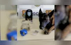 Bolt encontra droga escondida em forro de casa abandonada em PG