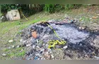 Corpo de menina é encontrado em matagal em Curitiba
