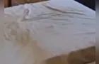 Filhos são presos por manter corpo do pai apodrecendo em casa